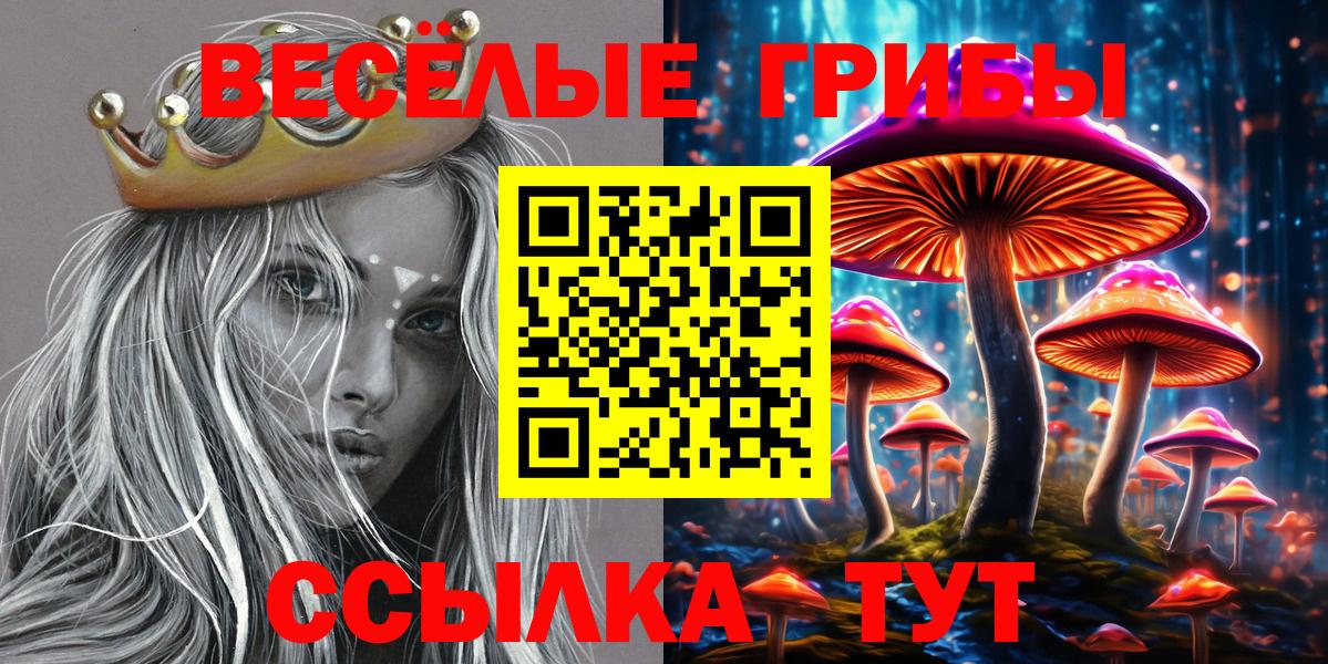 сколько стоит  Вход с VPN  Галлюциногенные грибы Psilocybe  Вологда  Псилоцибиновые грибы Psilocybine cubensis 
